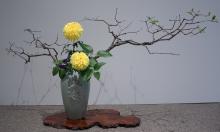 26 - Penny Davis.jpg 4.8K